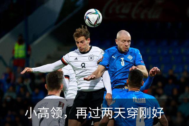 小高领,再过两天穿刚好